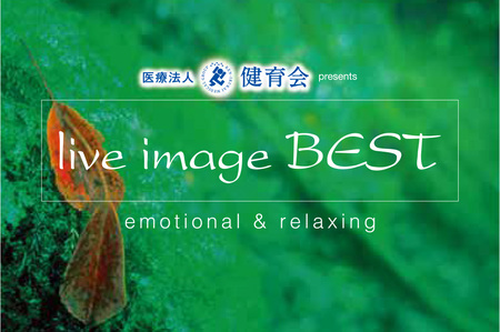 7年ぶりの復活!ライブイマージュ・コンサート、2026年2月に再開! お馴染みのメンバーも再結集!