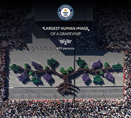 Moldova achieves GUINNESS WORLD RECORDS™ title as 493 people form world's largest human image of a grapevine