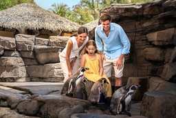 Taman Safari Indonesia Brings Wildlife, Entertainment and Family Experiences