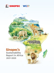Sinopec、アフリカ持続可能性報告書を発表、カイロでグローバルコミュニケーションブランド「WE17」を立ち上げ