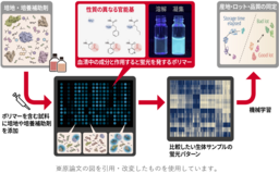 バイオものづくりを支える培養―その基盤となる培地の違いや状態を見分ける新技術