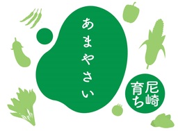 知ってください、尼崎の伝統野菜　「一寸ソラマメ」の即売会が開催中です！