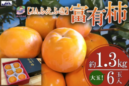 芳醇な香りと濃厚な甘みの秋の味覚 山梨県産「富有柿」を「ＪＡタウン」で予約販売開始