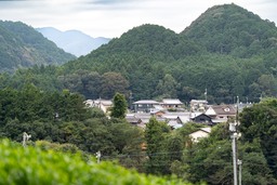 家計も地球も笑顔になる!大台町、おトクにエコな暮らしを応援する「省エネ家電買換え支援補助金」をスタート